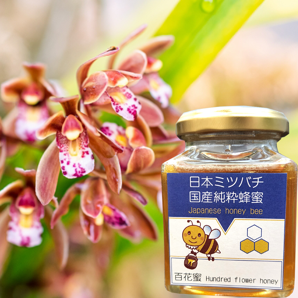 日本ミツバチ国産純粋蜂蜜